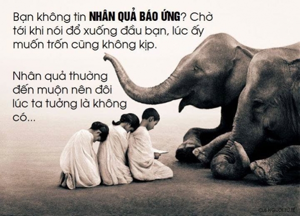 Gieo Nhân Nào Gặp Quả Đó