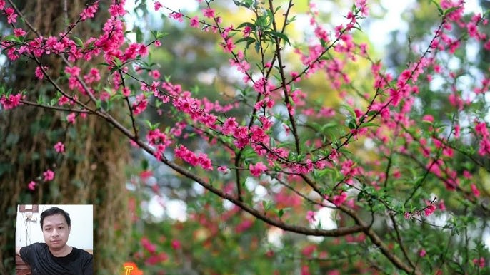 Giờ Em Đi Mãi Xa Xa Thật Xa Gallery 2