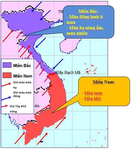 Loại gió thổi quanh năm ở nước ta là gì? Gallery 1