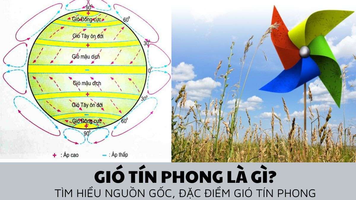 Loại gió nào hoạt động quanh năm ở nước ta? Gallery 1
