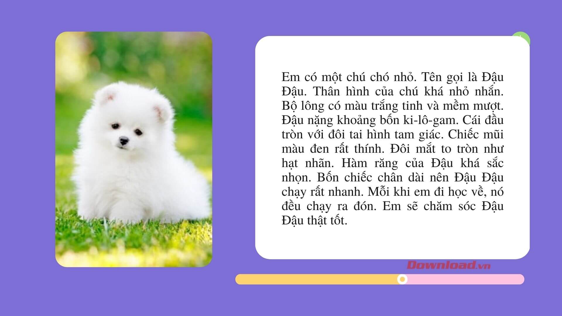 Giới thiệu về Con Chó