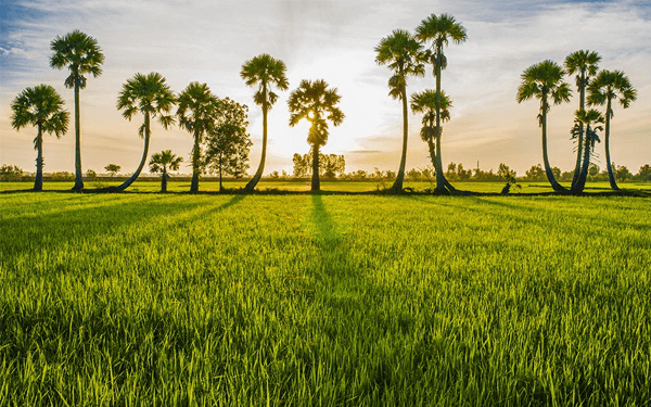 Khám phá vẻ đẹp của An Giang - Miệt vườn trù phú và di tích lịch sử hào hùng