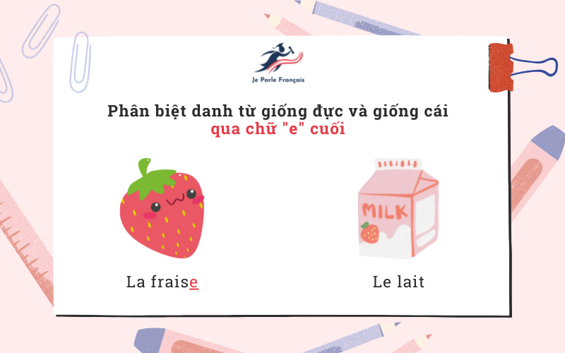 Giống đực giống cái trong tiếng Pháp Gallery 2