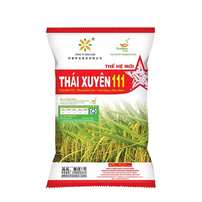 Giống Lúa Thái Xuyên 111: Năng Suất Cao, Chống Bệnh Tốt