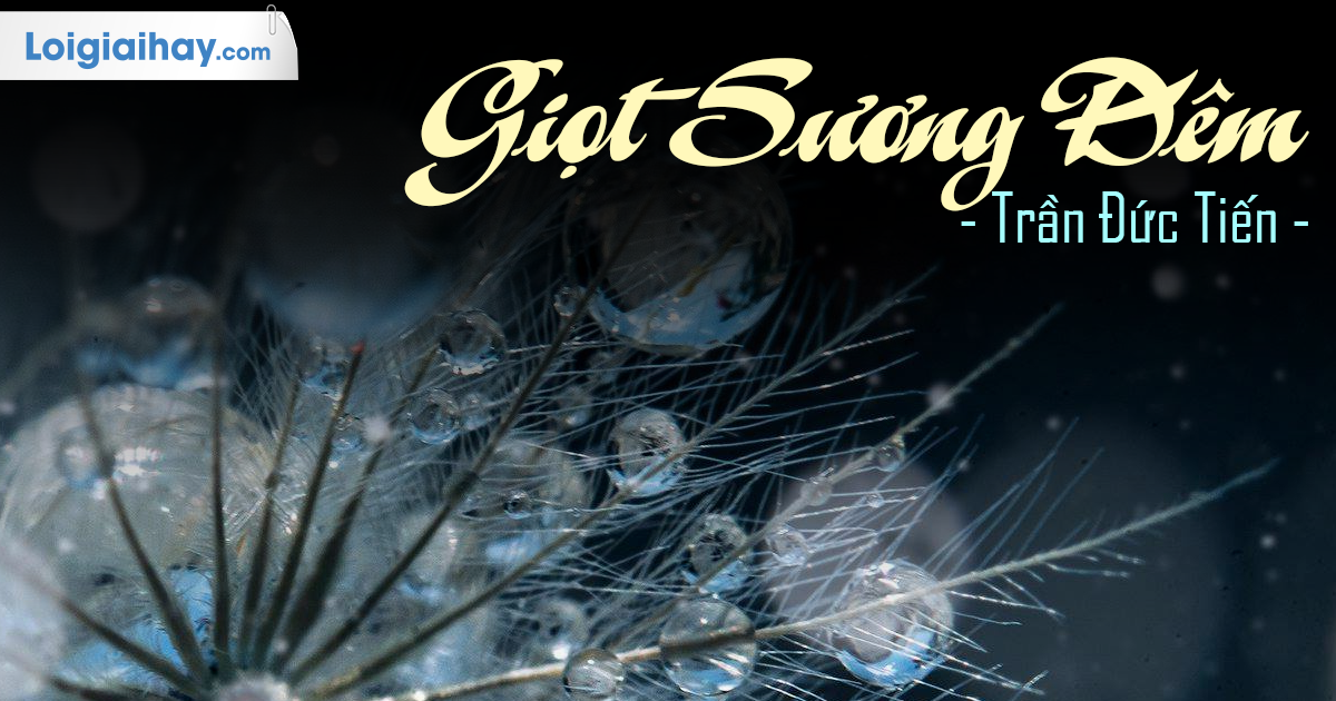 Giọt Sương Đêm - Chân Trời Sáng Tạo Gallery 2