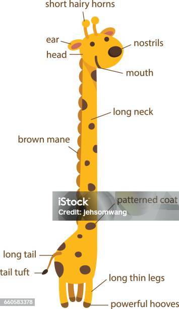 Giraffe in English Gallery 1