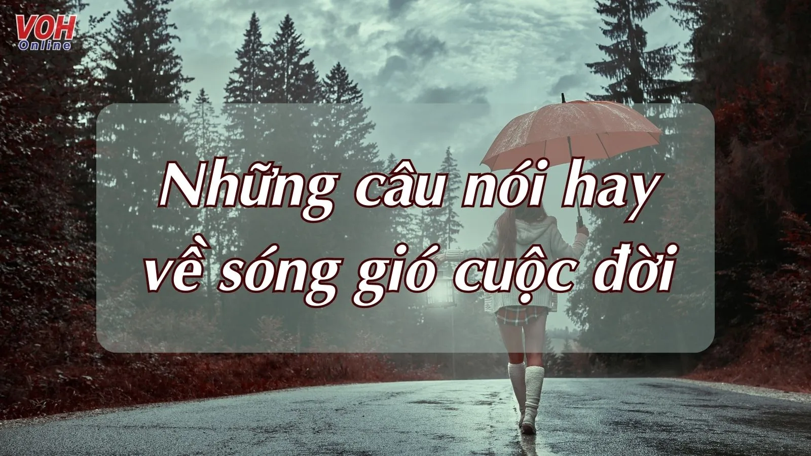 Giữa Cuộc Đời Này Còn Nhiều Phong Ba Gallery 1