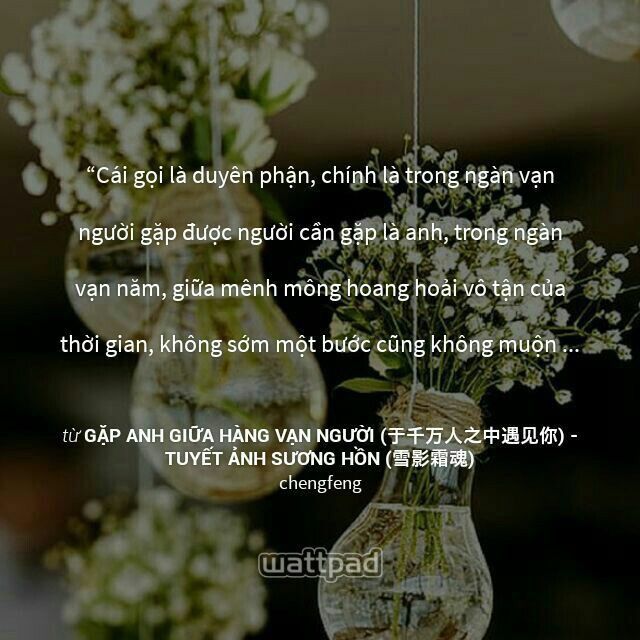 Giữa vạn người ta tìm thấy nhau
