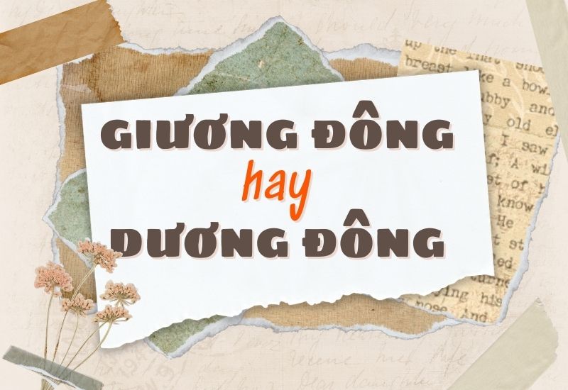 Giương Đông Kích Tây Hay Dương Đông?