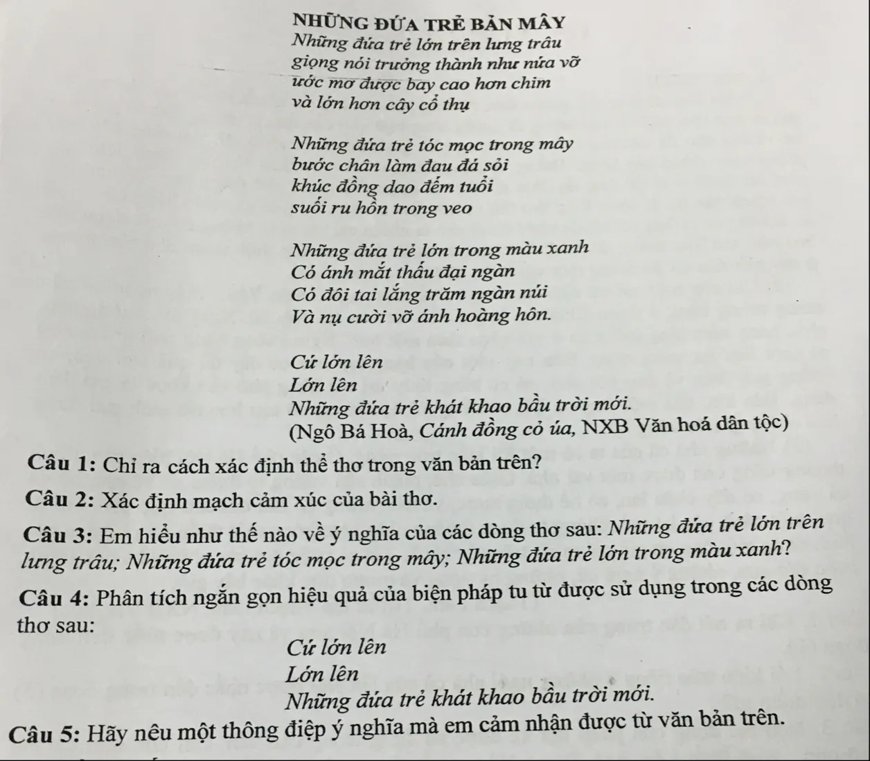 Những đứa trẻ bản Mây Gallery 2