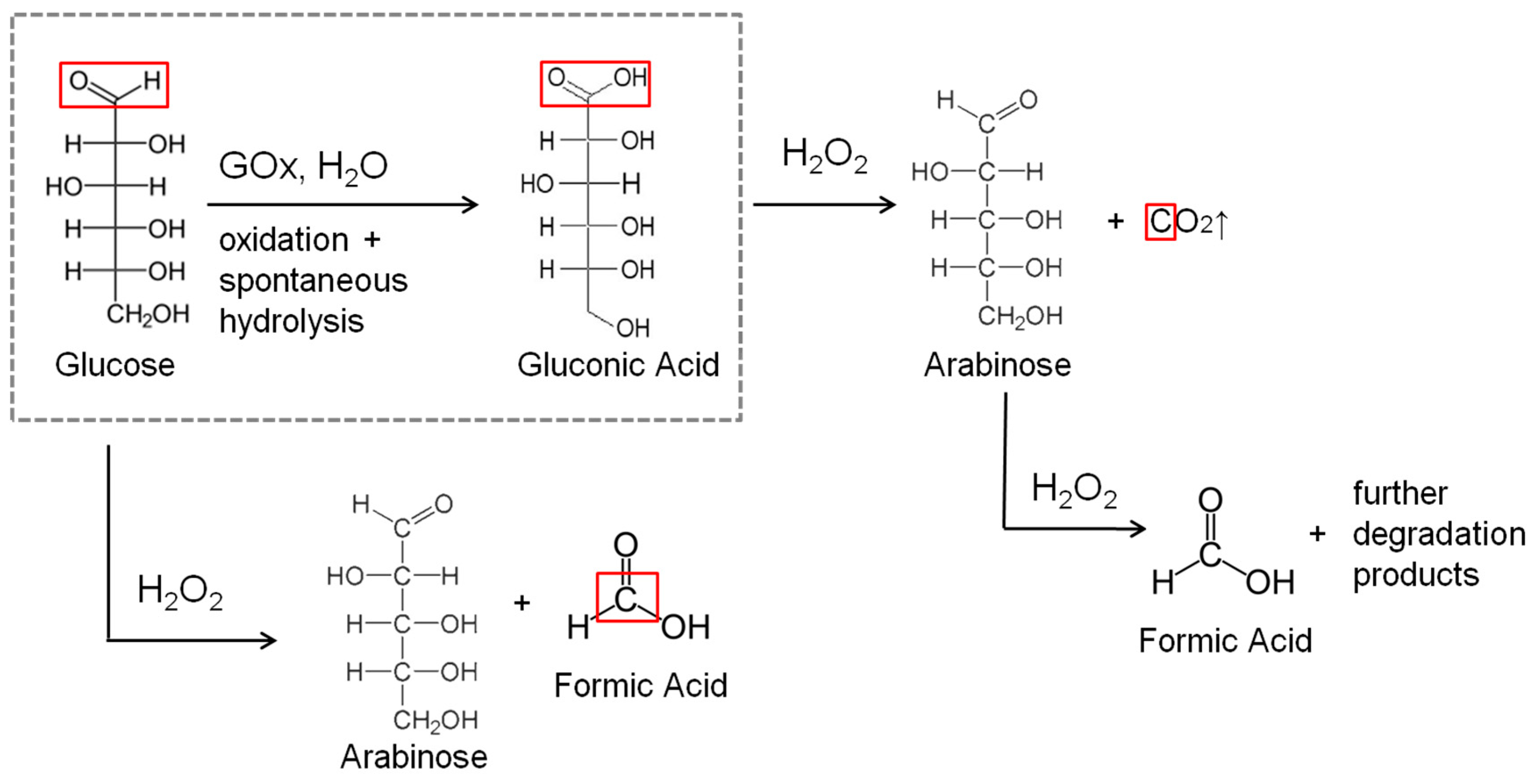 Quá Trình Chuyển Hóa Glucose thành Gluconic Acid