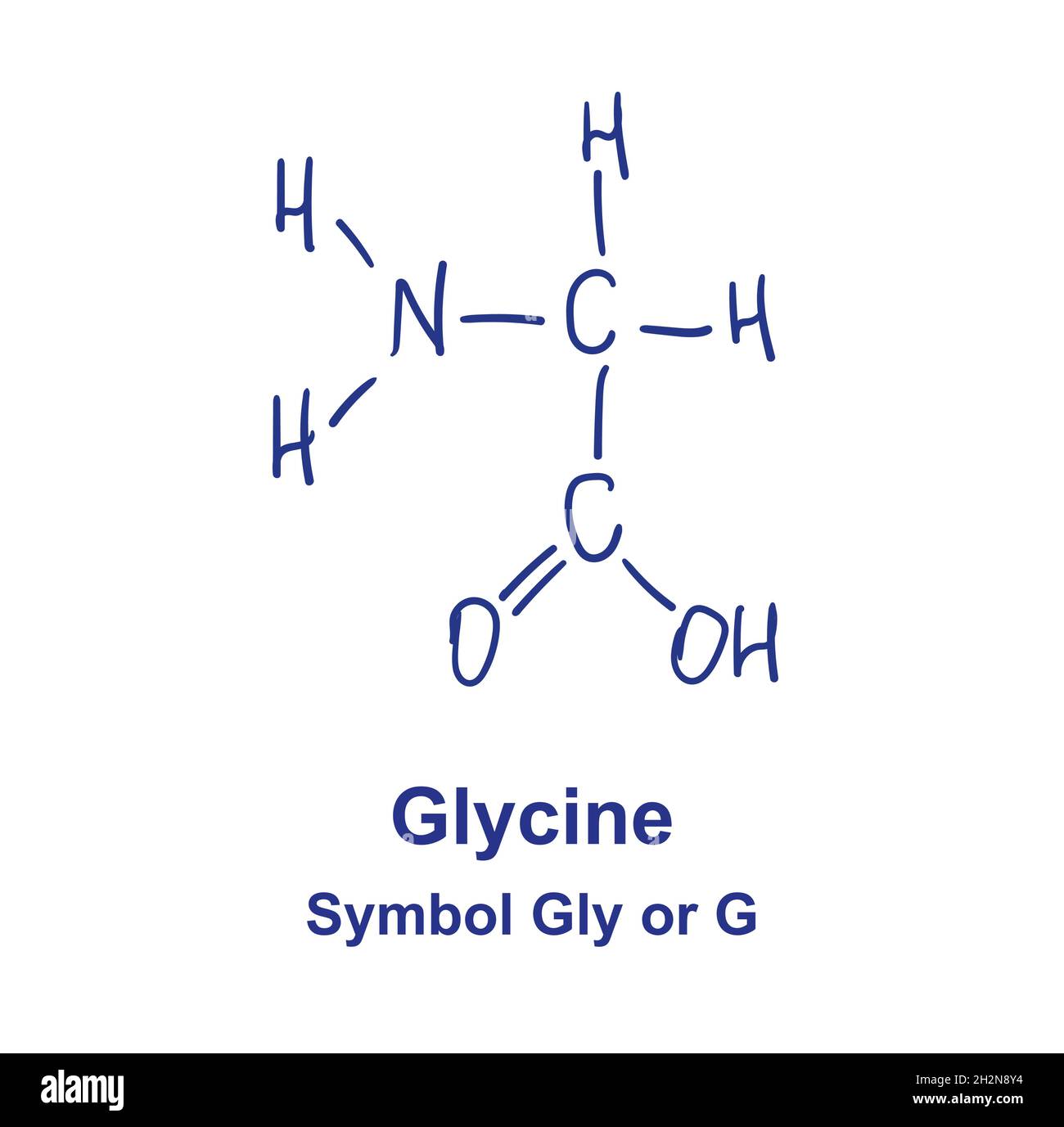 Glycin là gì? Tác dụng, lợi ích và ứng dụng của Glycin