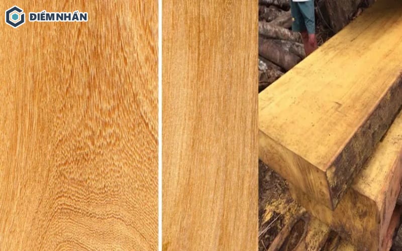 Gỗ Trai Là Gỗ Gì?