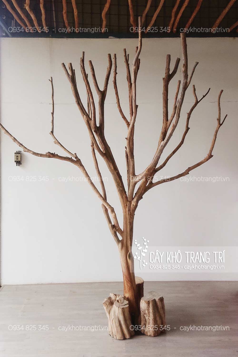 Gốc Cây Khô Làm Cảnh: Mang Vẻ Đẹp Hoang Dã Vào Không Gian Sống