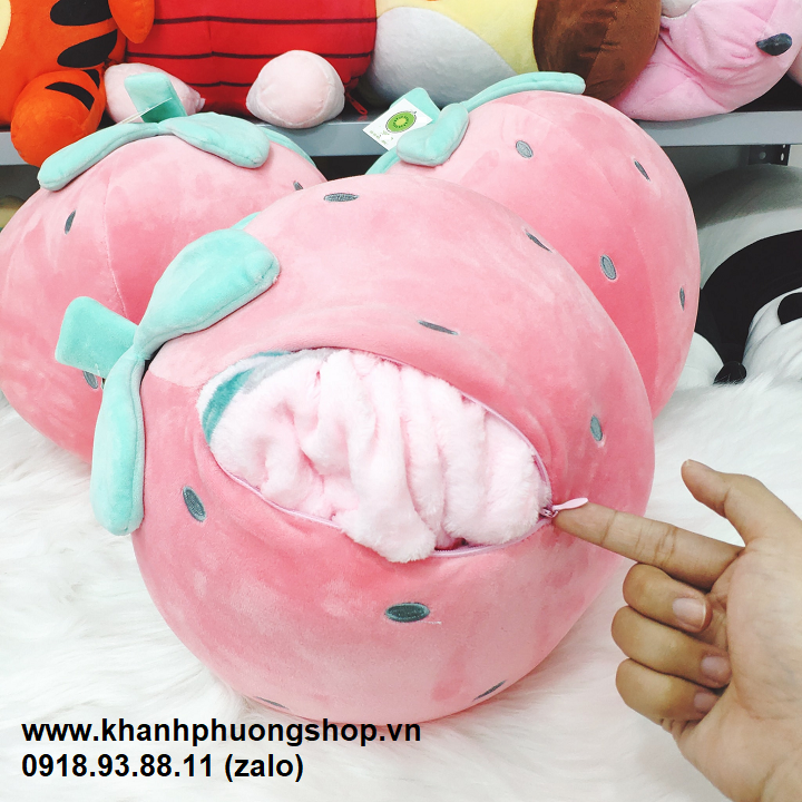 Gối Có Mền Bên Trong: Sự Lựa Chọn Hoàn Hảo Cho Giấc Ngủ Êm Ái