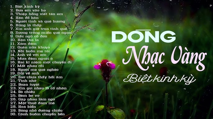 Nhạc Trữ Tình Dễ Ngủ: Gợi ý những bản nhạc giúp bạn dễ ngủ hơn Gallery 2