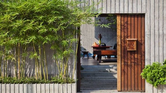 Cây Trồng Trước Cổng Nhà: Lựa Chọn Hoàn Hảo Cho Không Gian Xanh Gallery 2