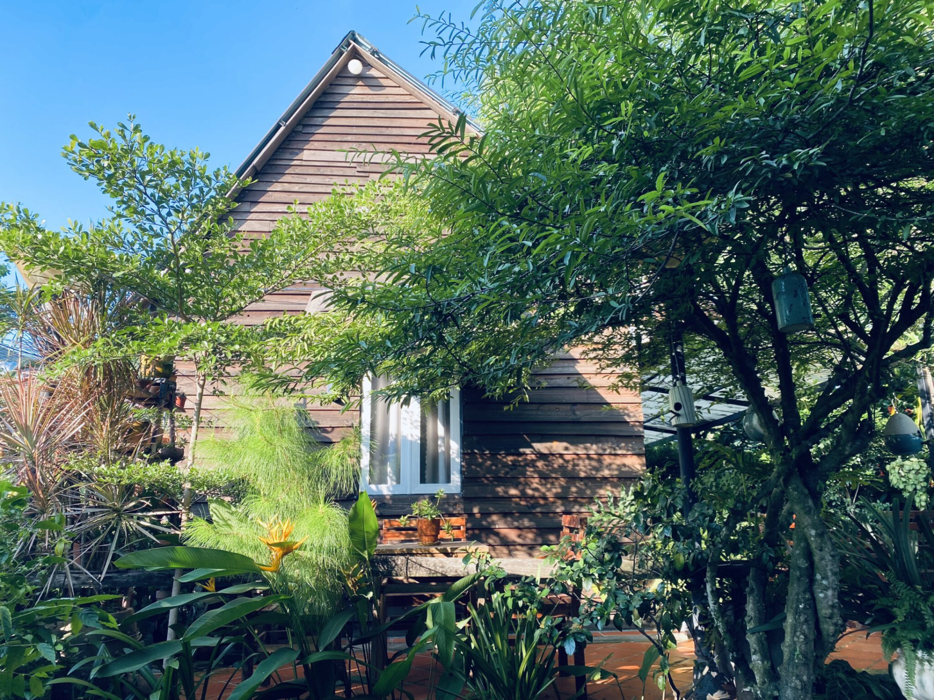 Nhà Nghỉ Gần Núi Bà Đen Tây Ninh Gallery 2
