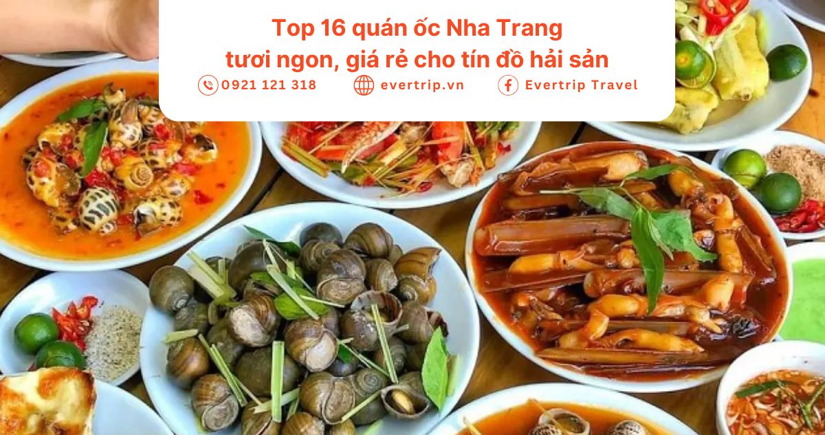 Quán Ốc Ngon Hấp Dẫn Buổi Trưa Gallery 2