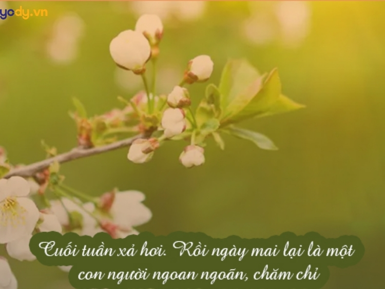 STT Thả Thính Cuối Tuần Vui Vẻ Gallery 2