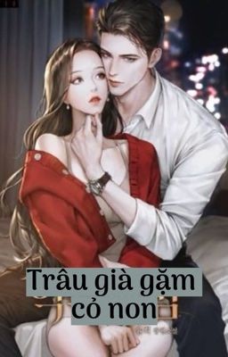 Truyện Ngôn Tình H Trâu Già Cỏ Non: Những Câu Chuyện Tình Yêu Chênh Lệch Tuổi Tạc Gallery 2