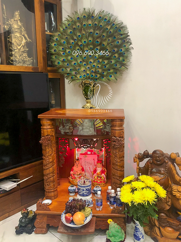 Lông Công Nên Cắm Bao Nhiêu Cành? Gallery 2