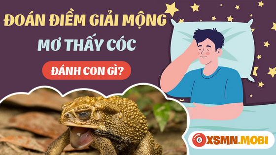 Gặp Con Cóc Đánh Số Mấy? Gallery 2