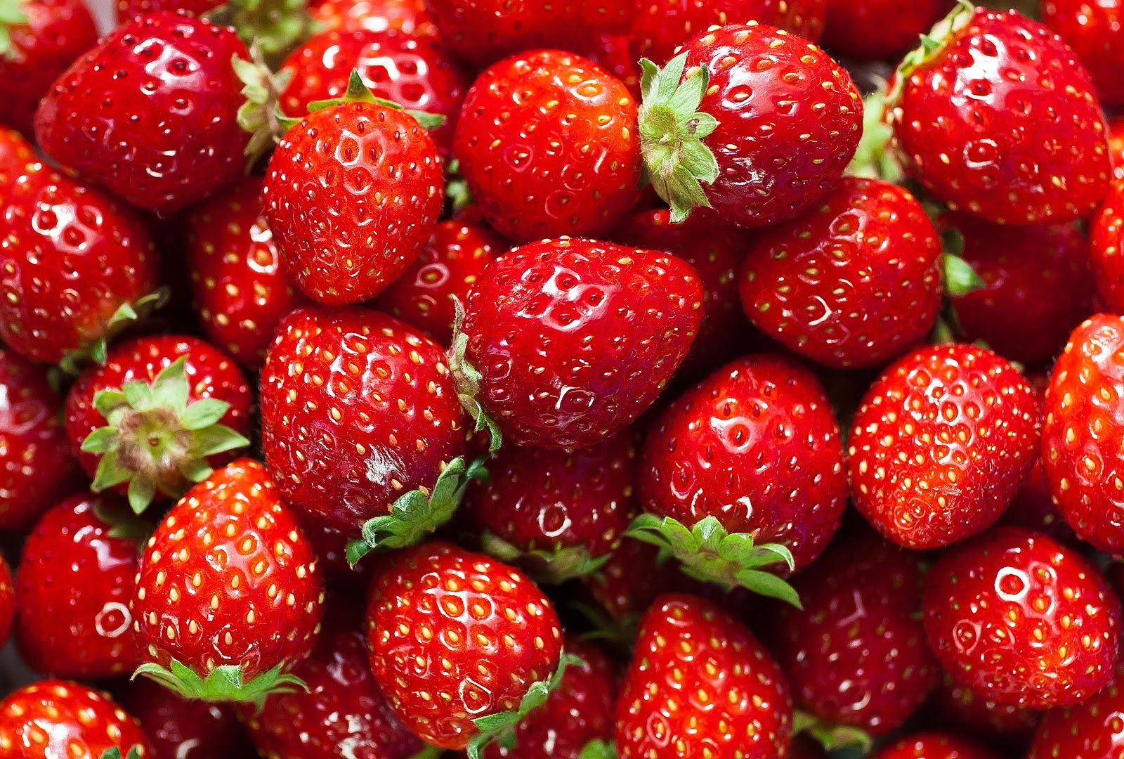Strawberries: The Ultimate Guide Gallery 2