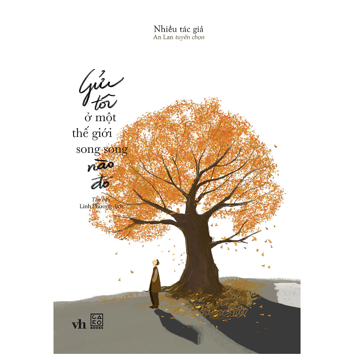 Gửi tôi ở một thế giới song song nào đó?