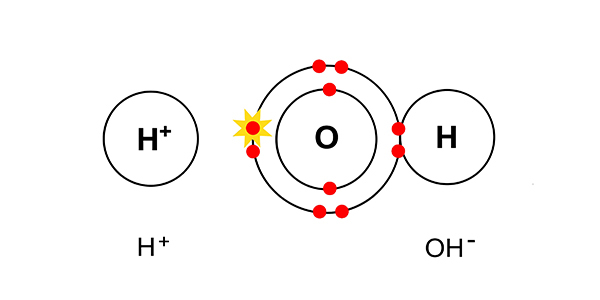 H + OH = H₂O: Phản ứng trung hòa tạo thành nước