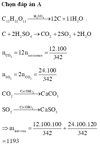 Phản ứng giữa H2SO4 đặc và C12H22O11 (đường saccarozo)