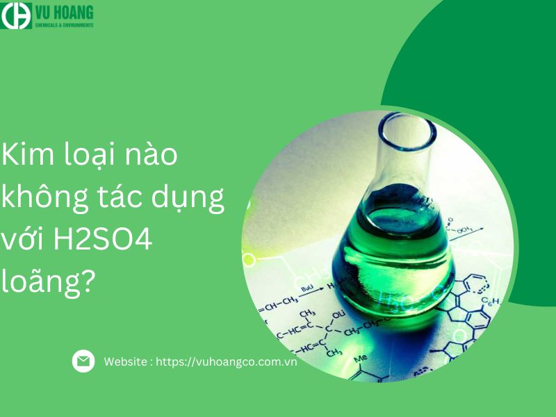 H2SO4 loãng không tác dụng với chất nào?
