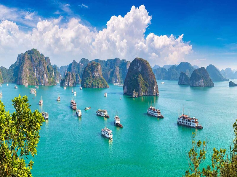 Hạ Long Bay Có Gì?