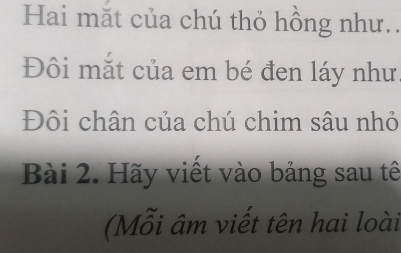 Hai mắt của chú thỏ hồng như gì? Gallery 2