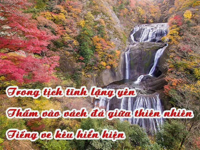 Những Bài Thơ Haiku Hay Nhất Gallery 2