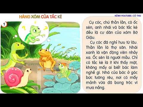 Hàng xóm của tắc kè là gì?