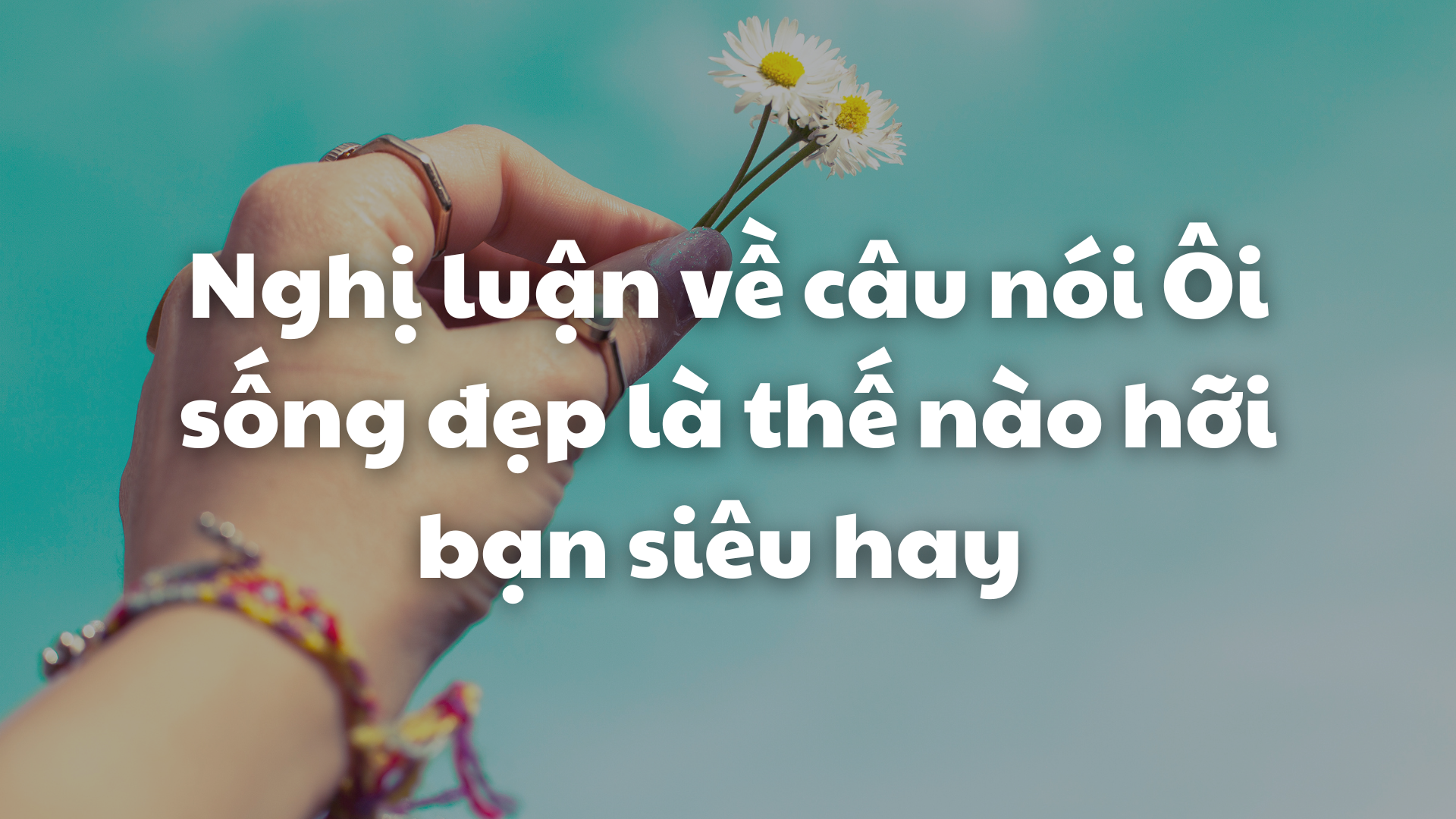 Ôi sống đẹp là thế nào hỡi bạn? Gallery 2