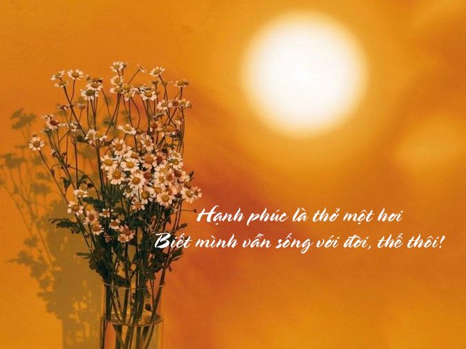Hạnh phúc là gì? Gallery 2