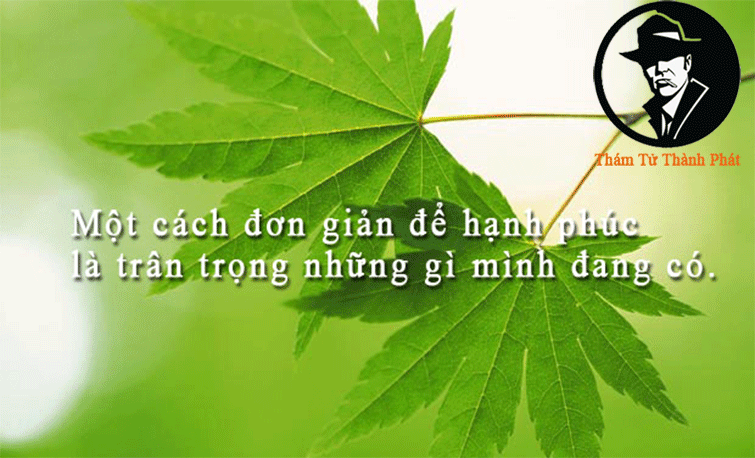 Hạnh phúc với những gì mình đang có