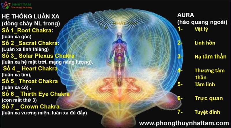 Hào Quang Của Con Người