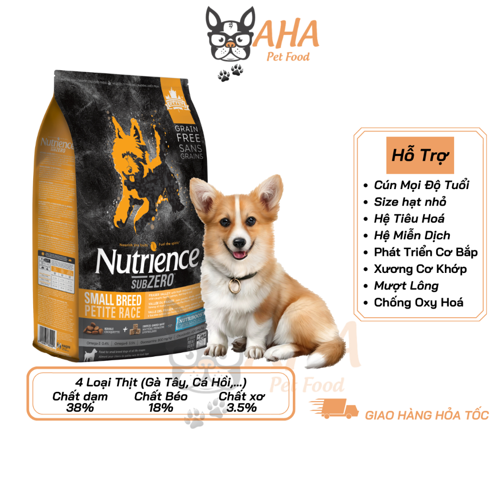 Hạt Cho Chó Corgi