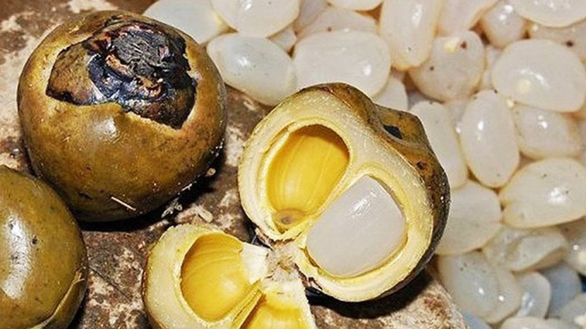Hạt Đác Ăn Sống Được Không?