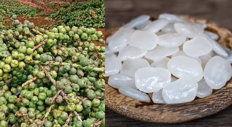 Hạt Đác Làm Từ Gì? Gallery 2