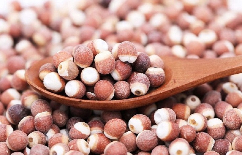 Hạt Khiếm Thực Là Hạt Gì?