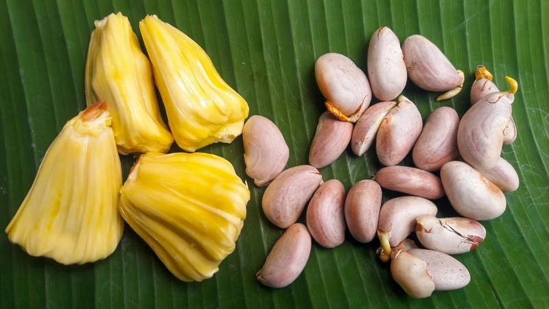 Hạt mít mọc mầm có ăn được không?