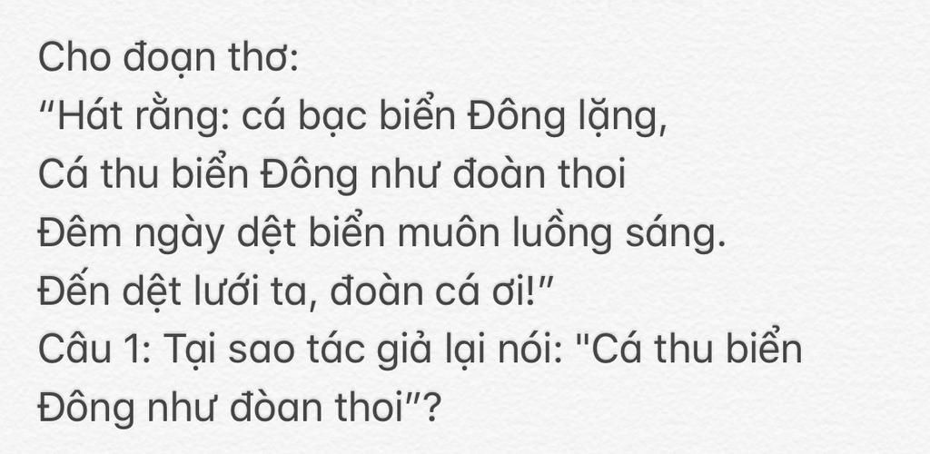 Hát rằng cá bạc biển Đông lặng