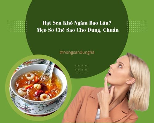 Hạt Sen Ngâm Bao Lâu?