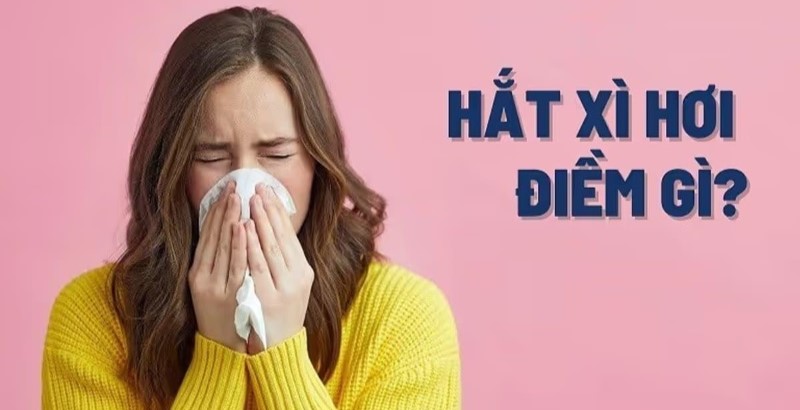 Hạt Xi Hoi Văn Sử