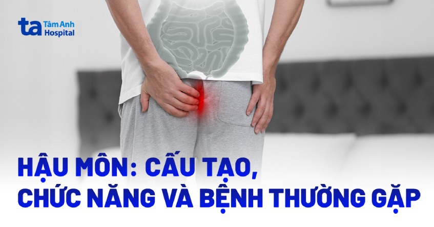Hậu môn là gì?