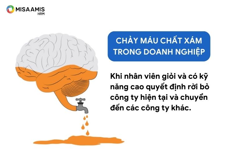Chảy máu chất xám ở Việt Nam: Nguyên nhân, hậu quả và giải pháp Gallery 2